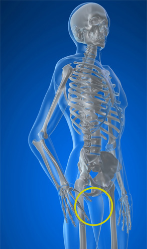 Groin Strain – Chris Smith MCSP